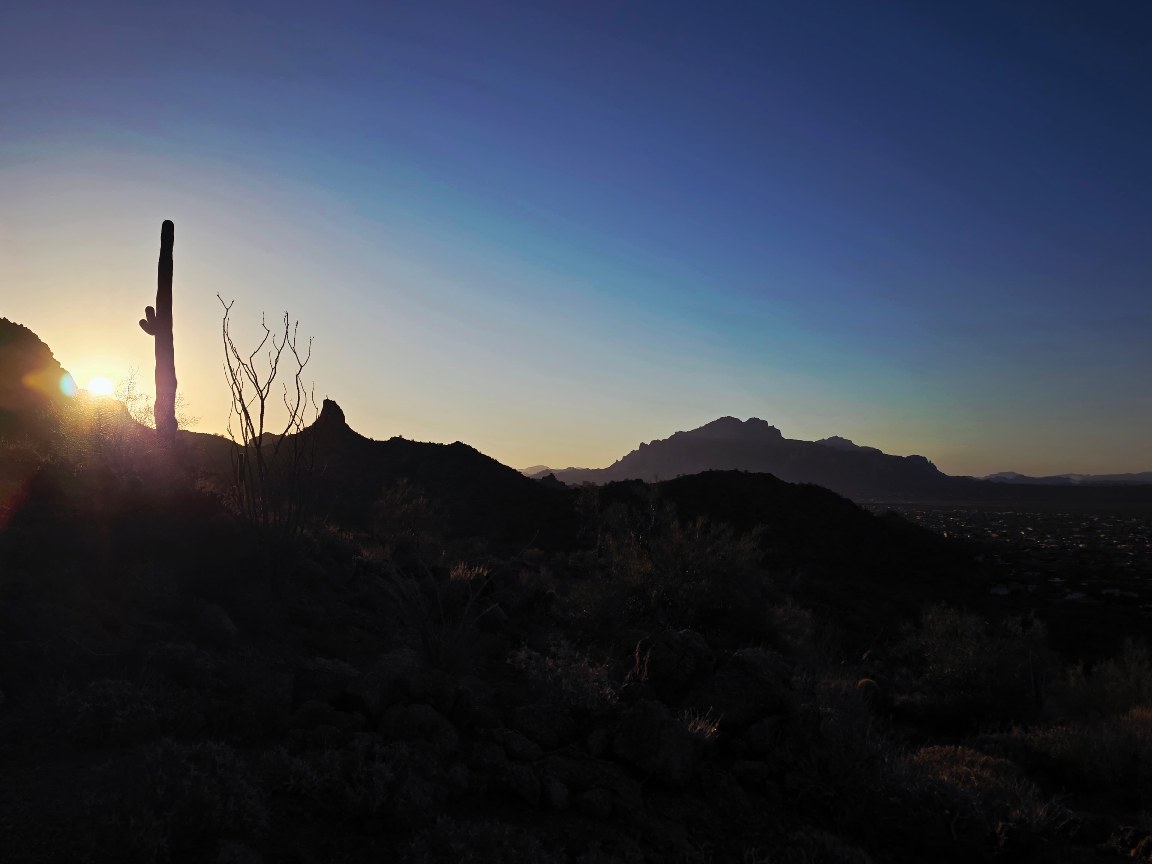 A Morning on Meridian Trail, Tonto National Forest (Apache Junction)